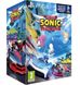 Team Sonic Racing Special Edition PS4 (русская версия)