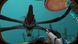 Subnautica PS4 (рос. версія)