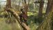 Assassin's Creed III Remastered Nintendo Switch (рос. версія)