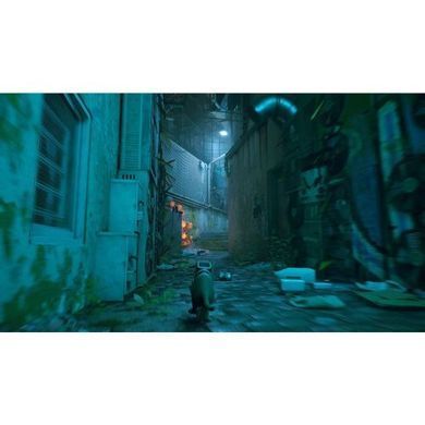 Stray PS4