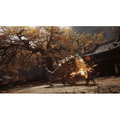 Black Myth: Wukong PS5 (русская версия)