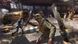 Dying Light 2 Stay Human PS5 (російська версія)